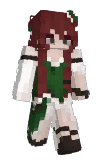 ereh_dll's Minecraft skin