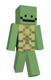 Skin preview