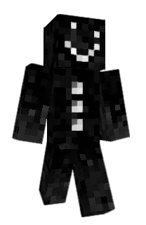 Front of paacket's skin
