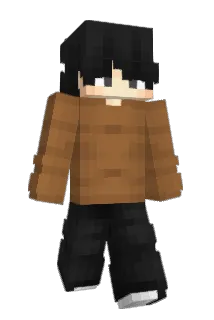 976m Minecraft avatar full body