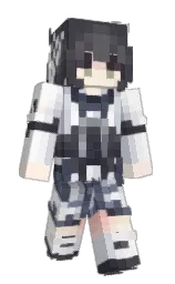 Minecraft skin — Classic model