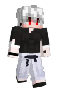 Front of qwersax's skin