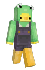 Skin preview