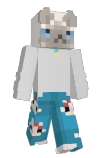 Front of prava's skin