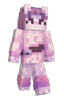 Front of STuLW's skin