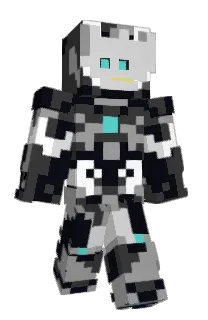 Front of LegoPen9uin's skin