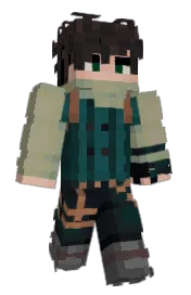 Skin preview
