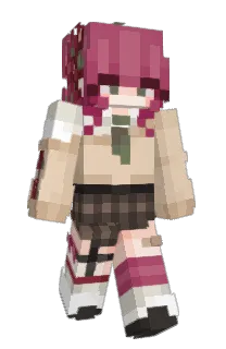 Front of NpSolved's skin