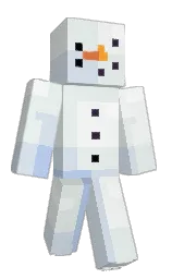 r8c's Minecraft skin wearing the Migrator cape