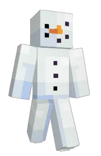Front of r8c's skin