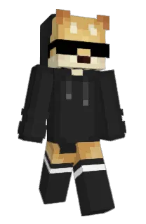 Front of haxeflixel's skin