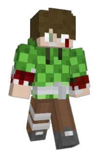 Front of 3DARIS's skin