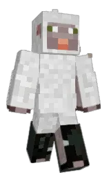 The_Doctorgoose's Minecraft skin wearing the Pan cape