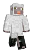 The_Doctorgoose