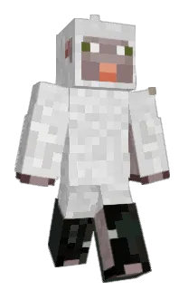 Front of The_Doctorgoose's skin