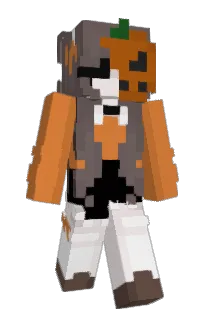 Front of gh_ste's skin