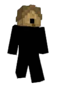 1villi