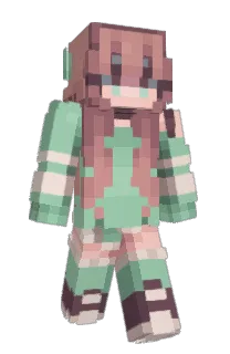 Front of iT3B's skin