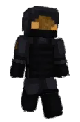 ImaChipp