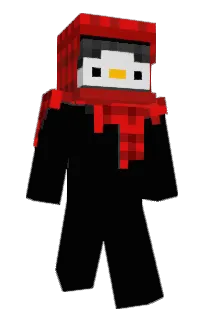 tayfun2022's Minecraft skin