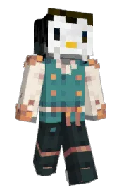 Skin preview