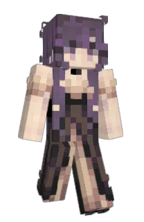 Front of raiscn's skin
