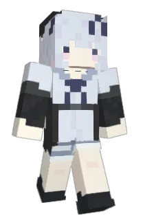 Front of IN_1231's skin