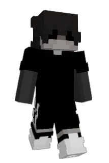9814 Minecraft avatar full body