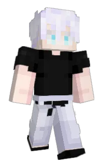 polikj's Minecraft skin
