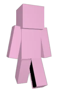Front of Minecraft skin
