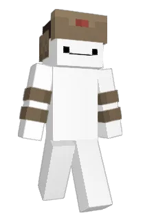 Front of Minecraft skin