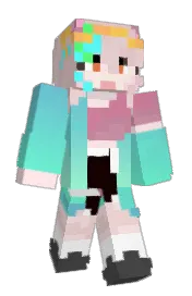 Skin preview