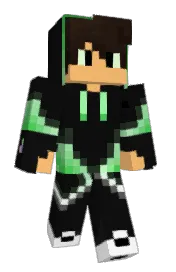 Skin preview