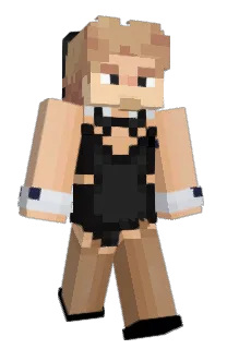Front of MrVoise's skin