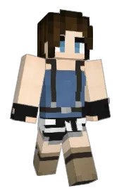 Skin preview