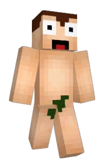Front of Minecraft skin