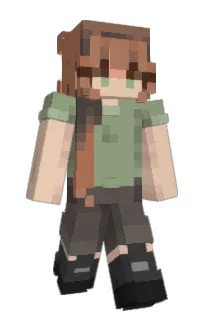Front of T_fen's skin