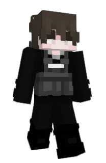Front of Pininfarinaa's skin