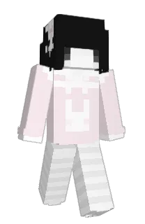 Front of Pet's skin
