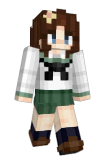 987tails Minecraft avatar full body