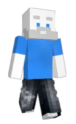 Slim Minecraft skin