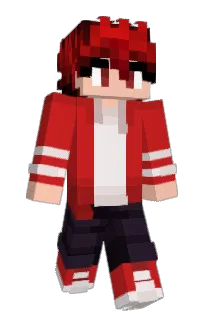 Front of WallyCrafts's skin