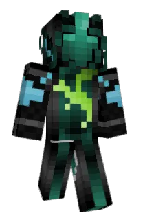 Front of tigerbon's skin