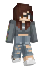 Skin preview