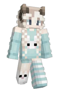Front of cerisent's skin