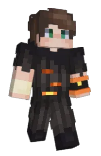 Front of hummn's skin