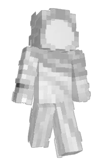 Front of Z_1_'s skin