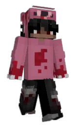 tapestry and black Minecraft skin — Slim model