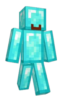 Front of SELFANT's skin