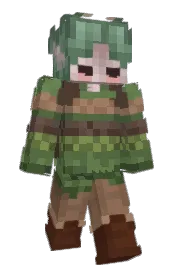 Skin preview